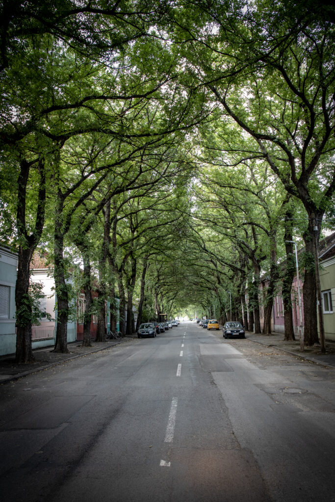 The best time to rent a car is last minute for cheaper prices