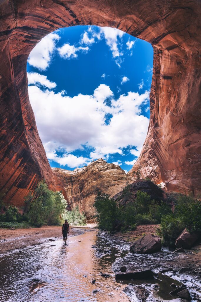 The Netteburg Family Embarks on Americas Longest Trails with Their Five Children